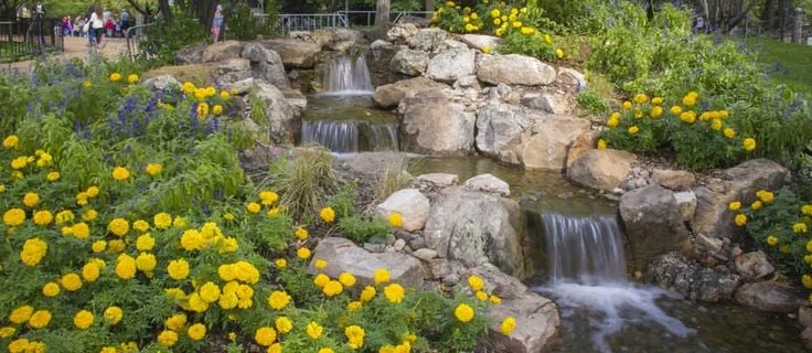 Top-rated residential landscaping for homes across Lawrenceville, GA - Universal Aquatics