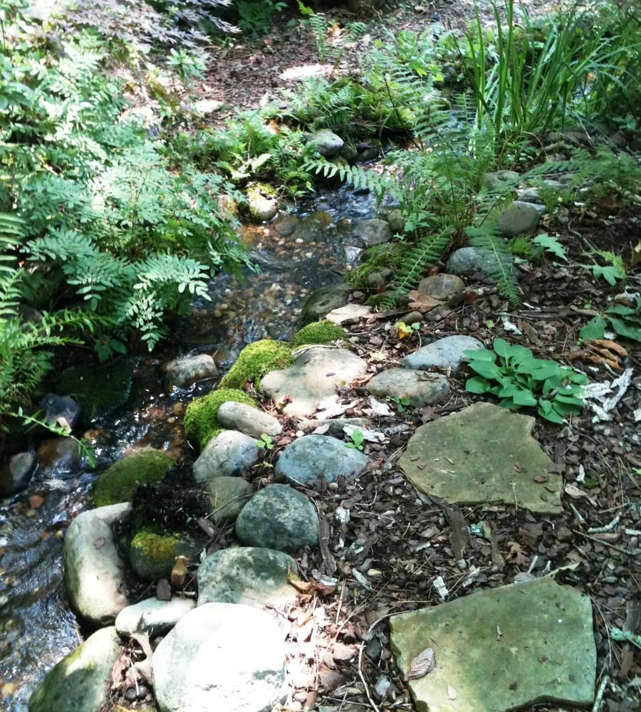 Top-rated residential landscaping for year-round maintenance across Lawrenceville, GA - Universal Aquatics