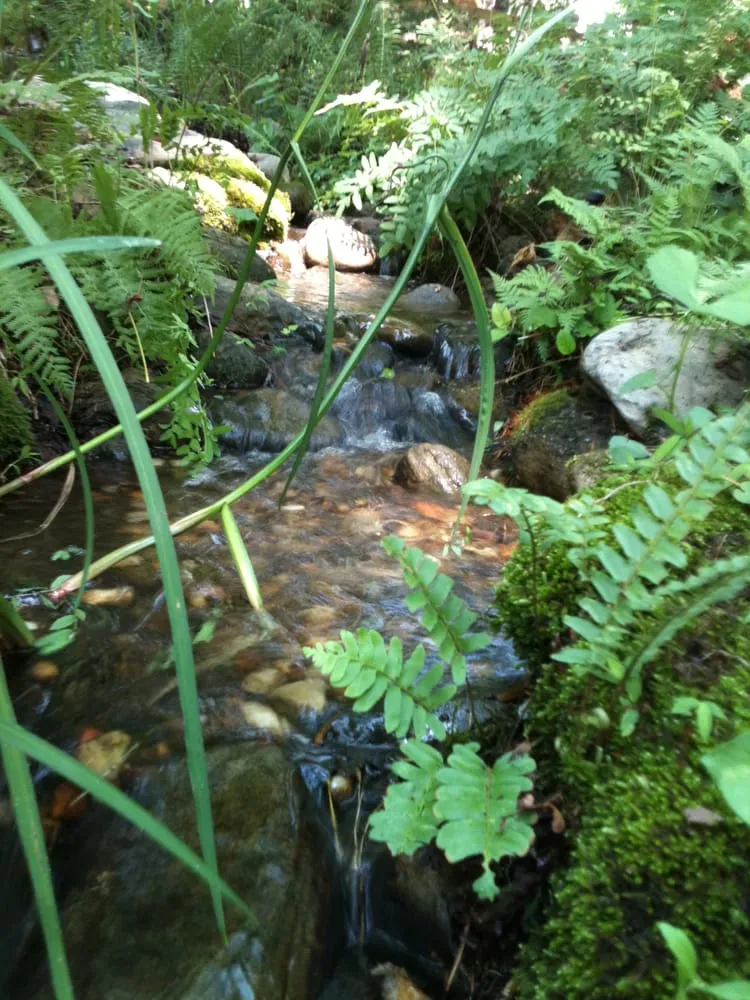 Trusted landscape design for homes across Lawrenceville, GA - Universal Aquatics