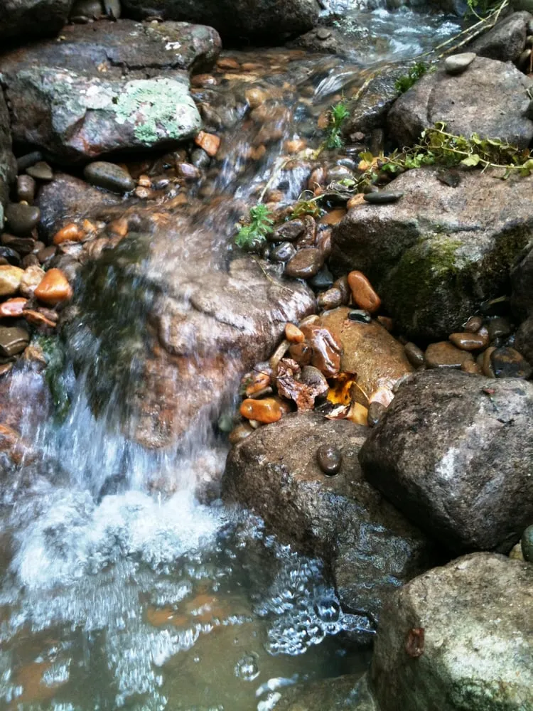 Custom garden landscaping in Lawrenceville, GA - Universal Aquatics