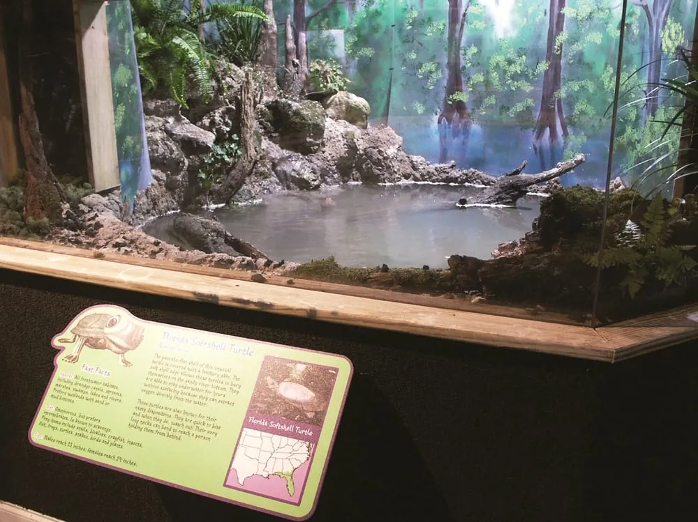 Expert residential landscaping for year-round maintenance across Lawrenceville, GA - Universal Aquatics