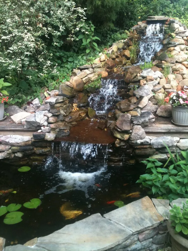 Top-rated yard cleanup service experts serving Lawrenceville, GA - Universal Aquatics