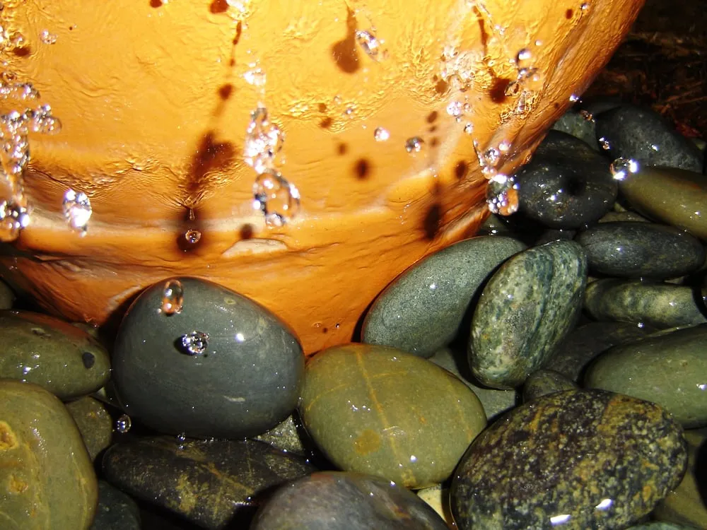 Trusted yard maintenance for year-round maintenance in Lawrenceville, GA by Universal Aquatics