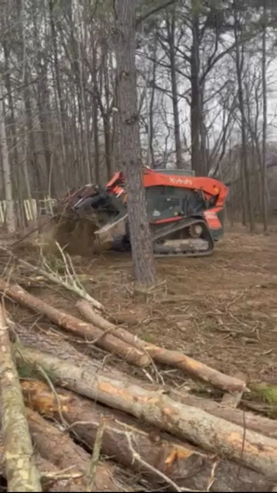 Affordable landscaping services in Salisbury, NC by Universal Development