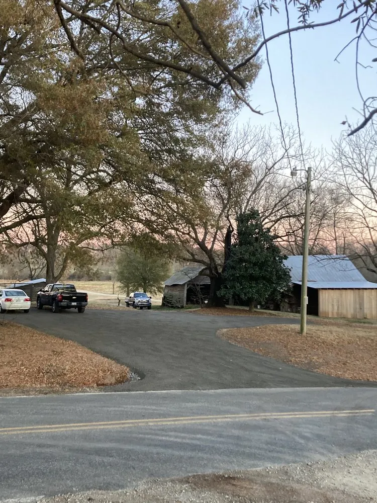 Reliable landscaping services in Salisbury, NC by Universal Development