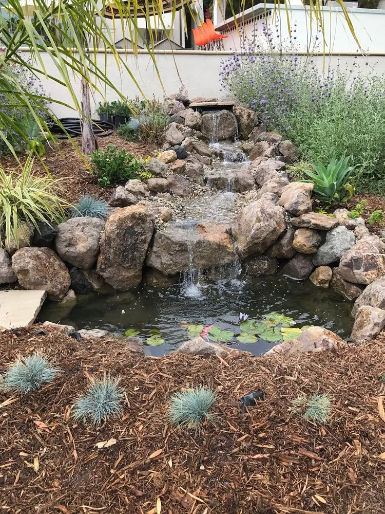 Custom yard cleanup service in Los Angeles, CA by Universal Dreamscape