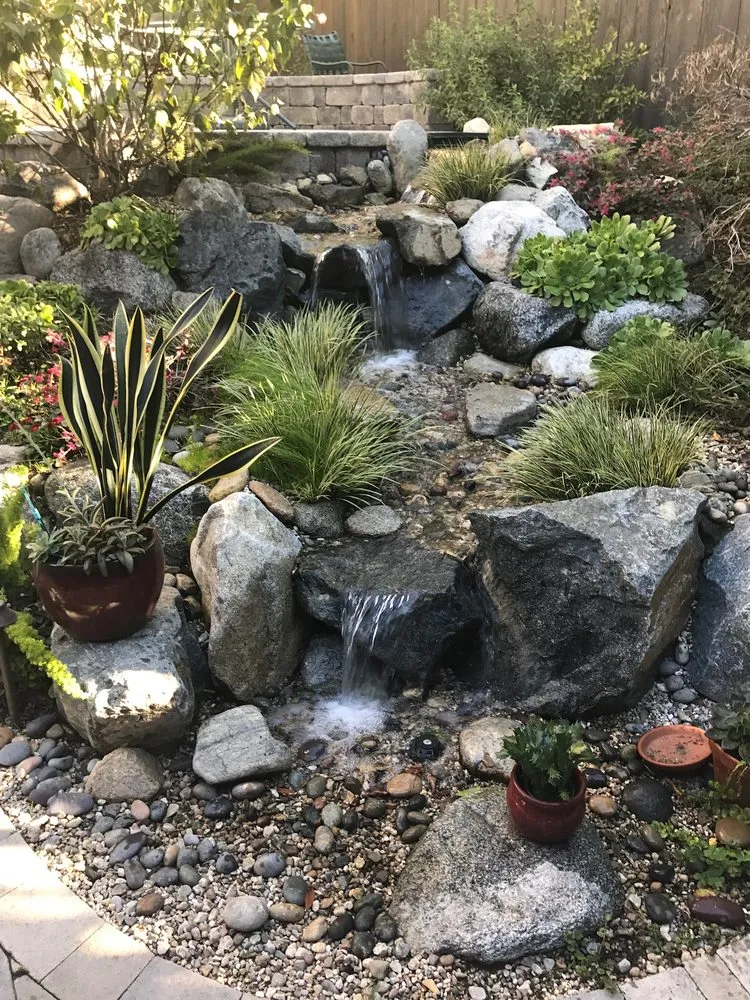 Affordable landscape design in Los Angeles, CA - Universal Dreamscape
