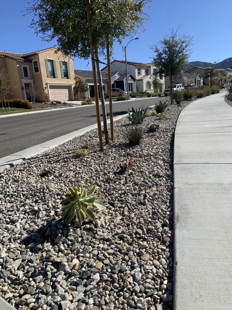 Local residential landscaping in Los Angeles, CA - Universal Dreamscape
