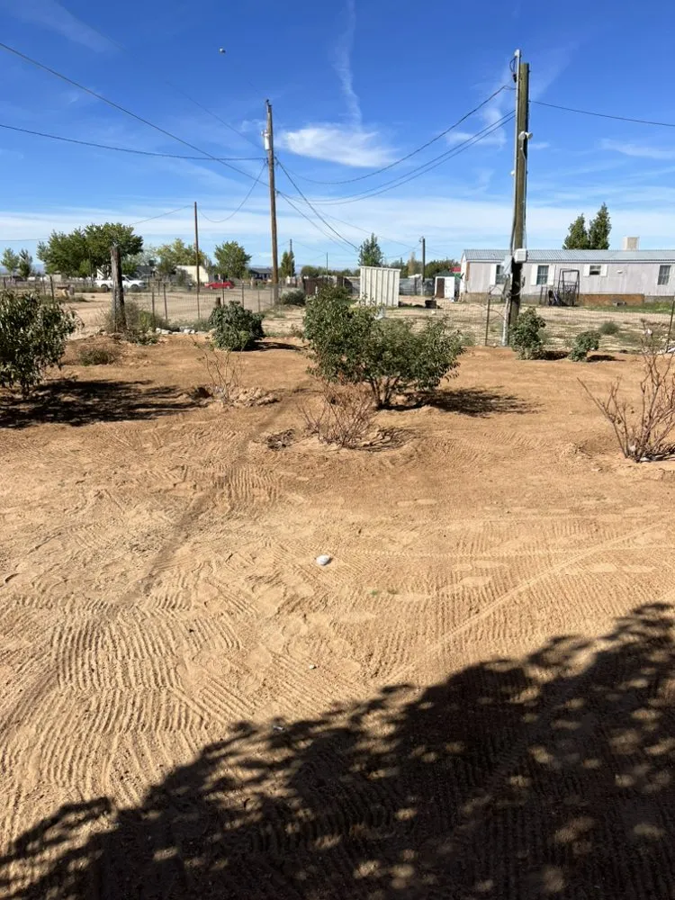 Top-rated residential landscaping in Los Lunas, NM by Universal Dude