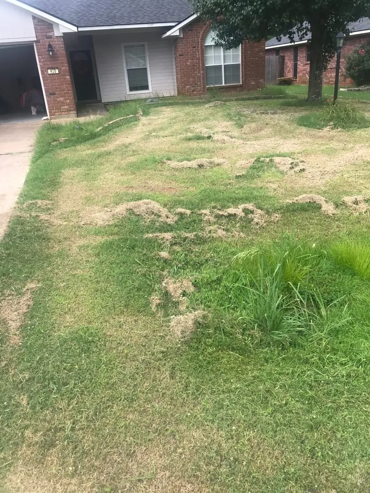 Affordable yard cleanup service in Shreveport, LA by Universal Gardening And Lawn Maintenance