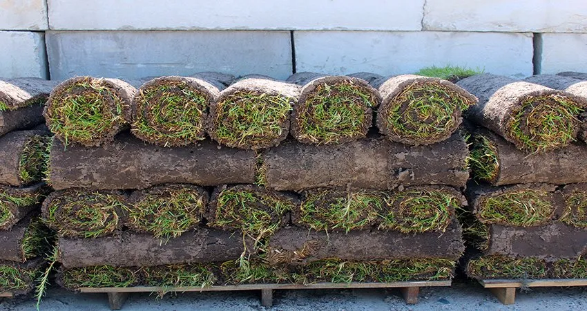 Local lawn care service in Supply, NC - Universal Green Garden
