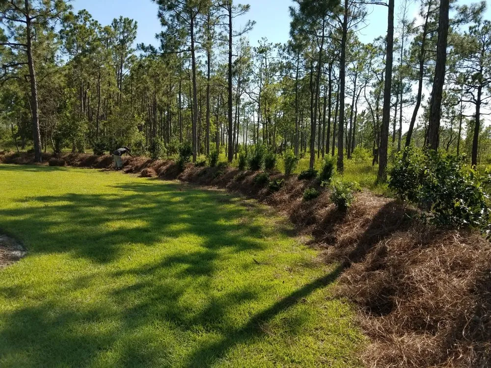 Trusted lawn mowing service with custom design across Supply, NC - Universal Green Garden