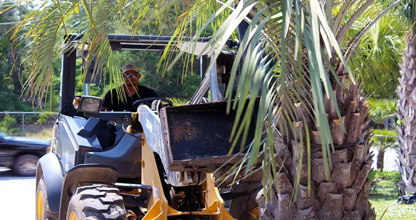 Trusted landscape design in Supply, NC - Universal Green Garden