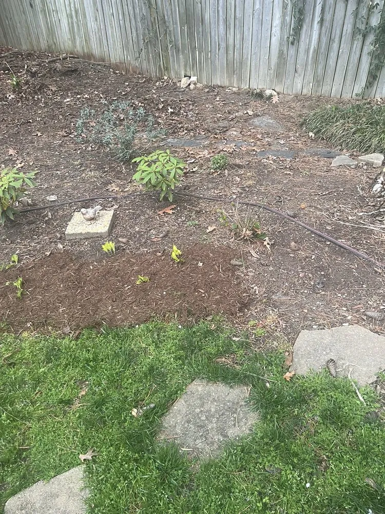 Top-rated lawn mowing service for beautiful yards across Raleigh, NC - Universal Helpers