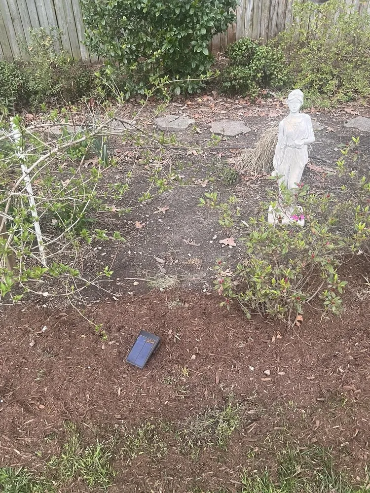 Affordable lawn care service experts serving Raleigh, NC - Universal Helpers