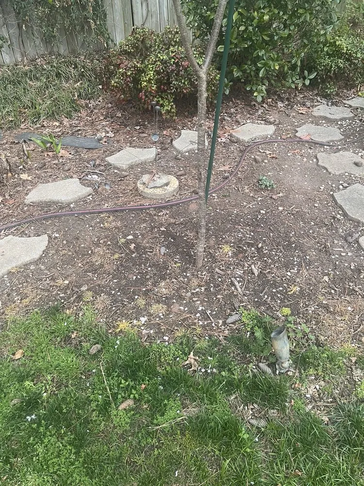 Trusted landscape design in Raleigh, NC by Universal Helpers