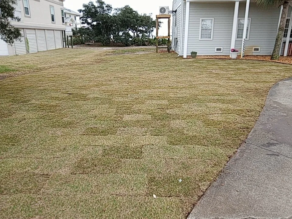 Local landscape installation in Pensacola, FL - Universal Landscape Creations