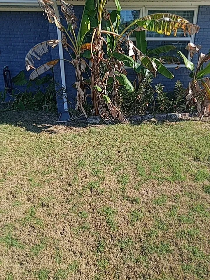 Trusted residential landscaping for beautiful yards in Pensacola, FL by Universal Landscape Creations