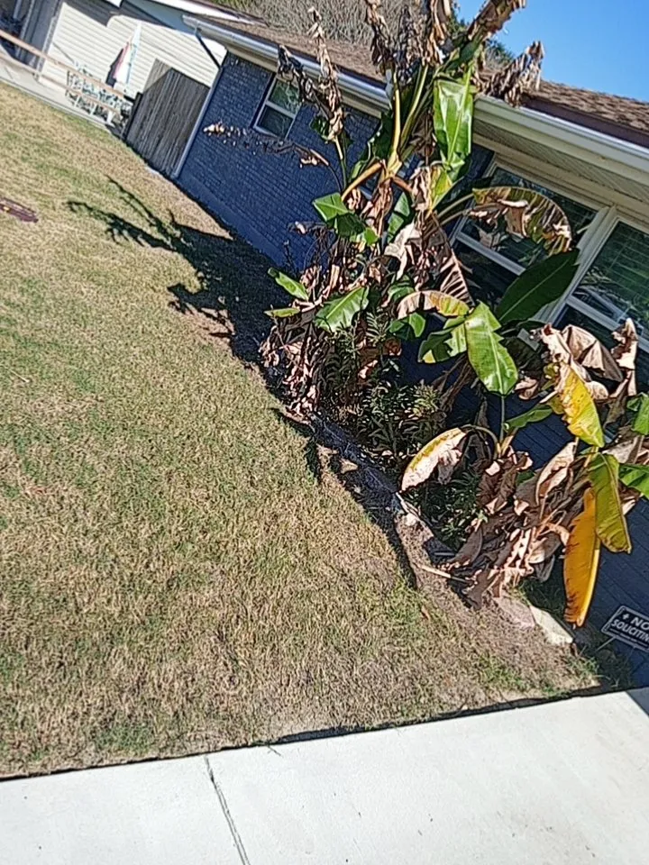 Affordable lawn care service with custom design in Pensacola, FL by Universal Landscape Creations