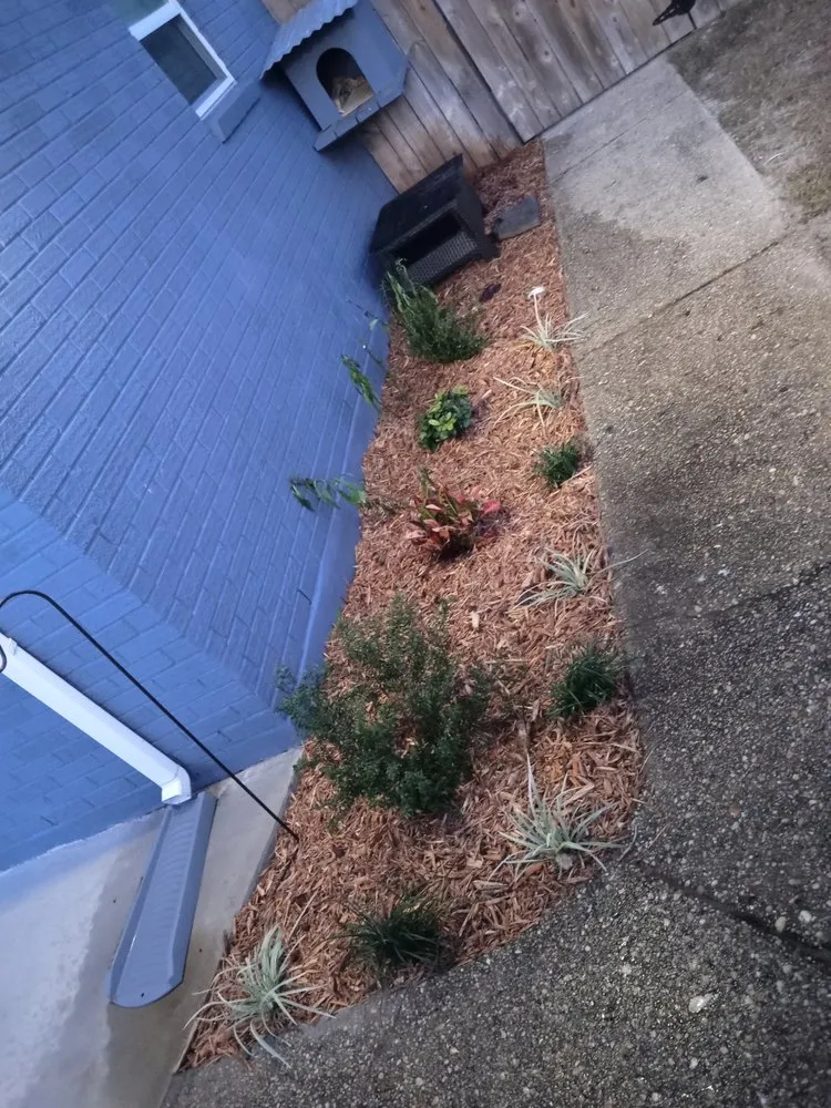 Professional lawn mowing service in Pensacola, FL by Universal Landscape Creations