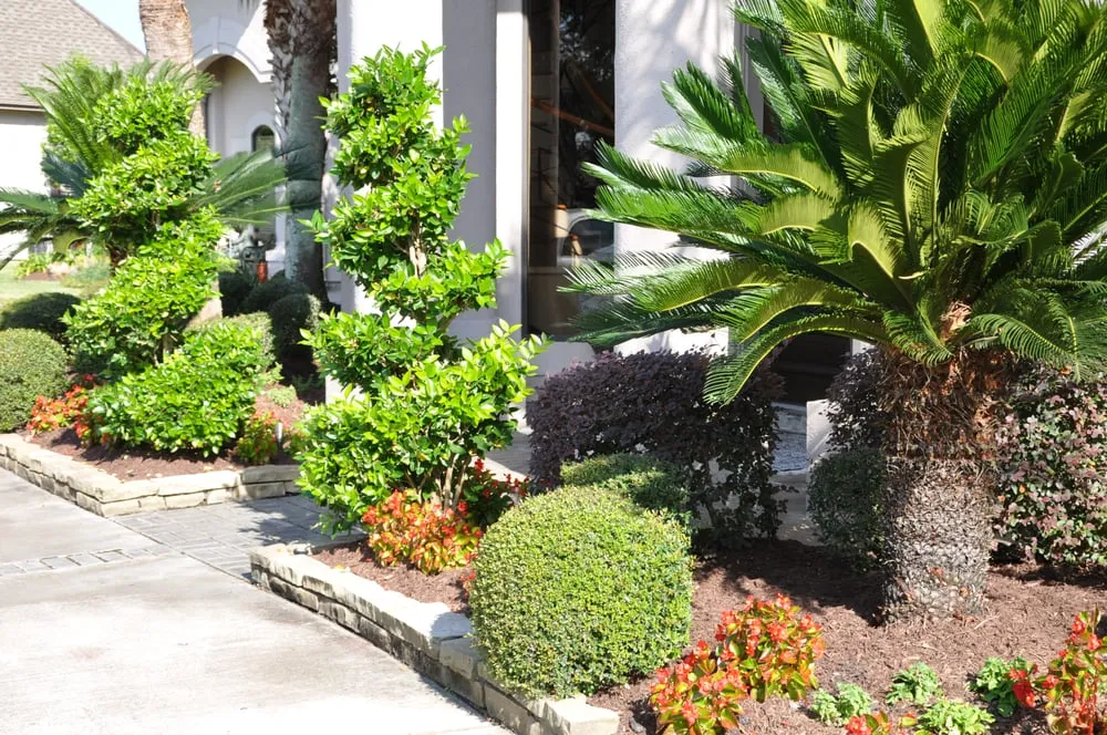 Affordable landscape installation in Houston, TX by Universal Landscape Services