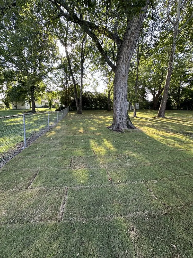 Local lawn mowing service experts serving Dalton, GA - Universal Landscape Solutions