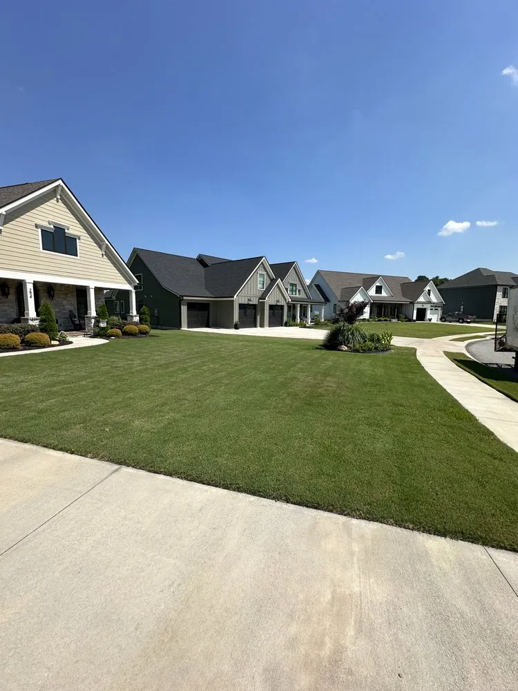 Reliable yard cleanup service in Dalton, GA - Universal Landscape Solutions