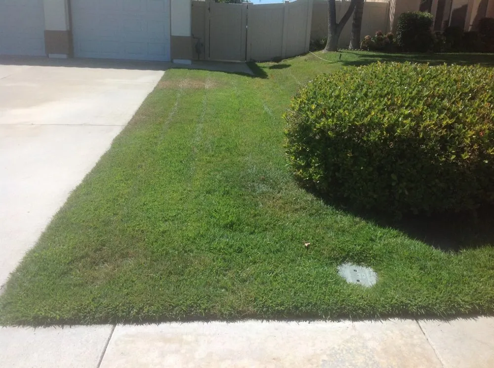 Top-rated yard cleanup service for homes across Perris, CA - Universal Landscaping