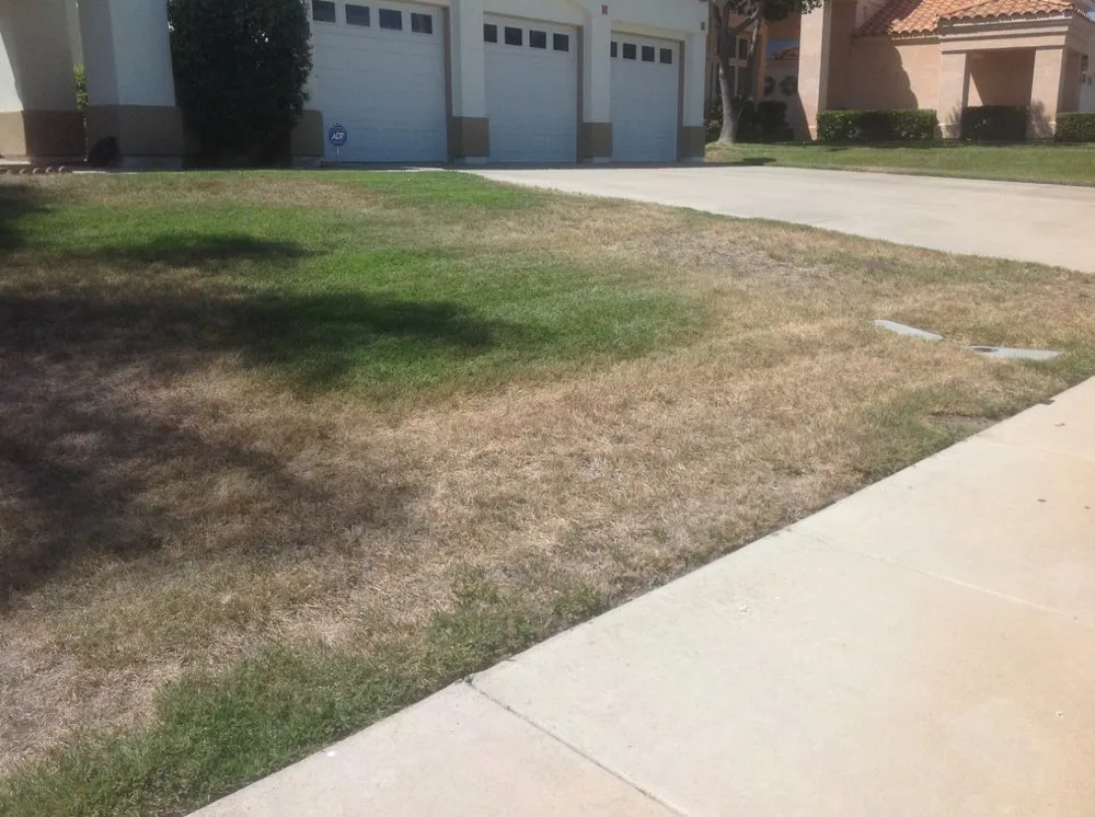 Affordable garden landscaping in Perris, CA - Universal Landscaping