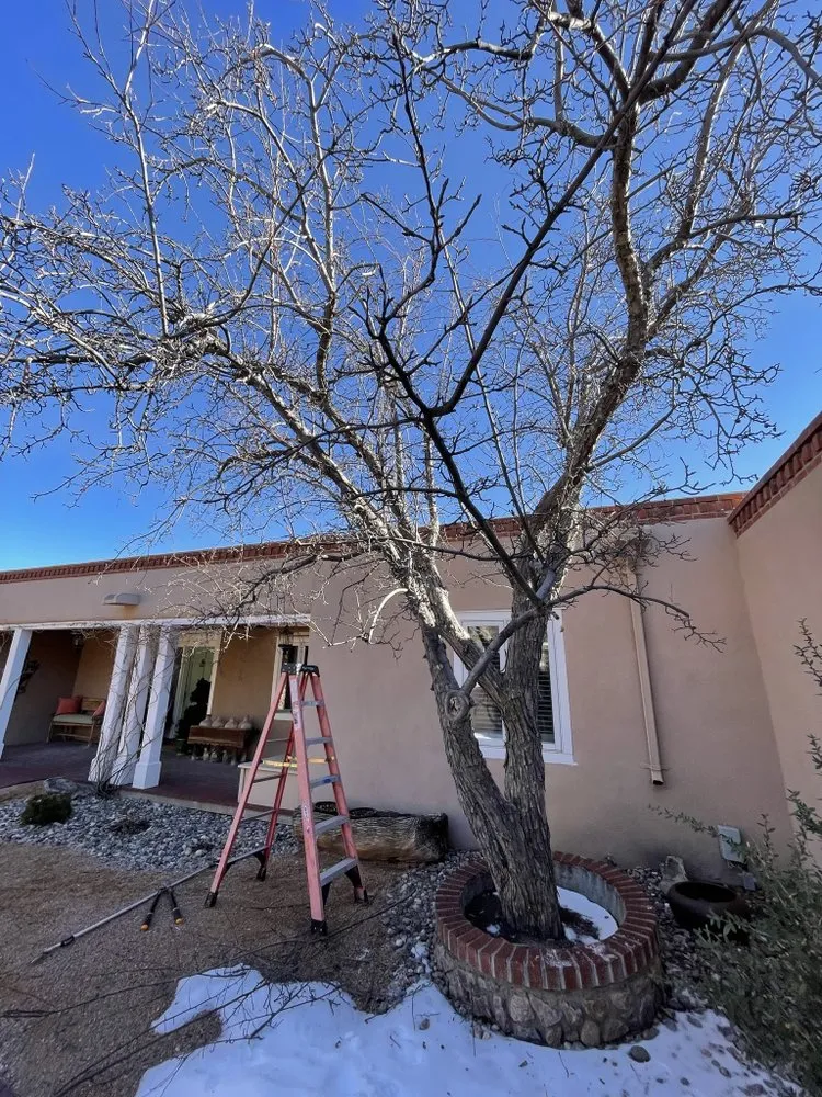 Trusted landscape installation in Santa Fe, NM by Universal Landscaping