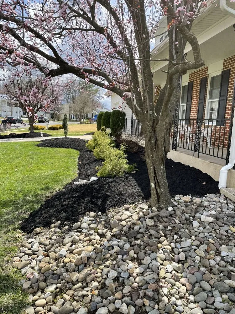 Top-rated yard cleanup service for year-round maintenance across Berlin, NJ - Universal Landscaping Services