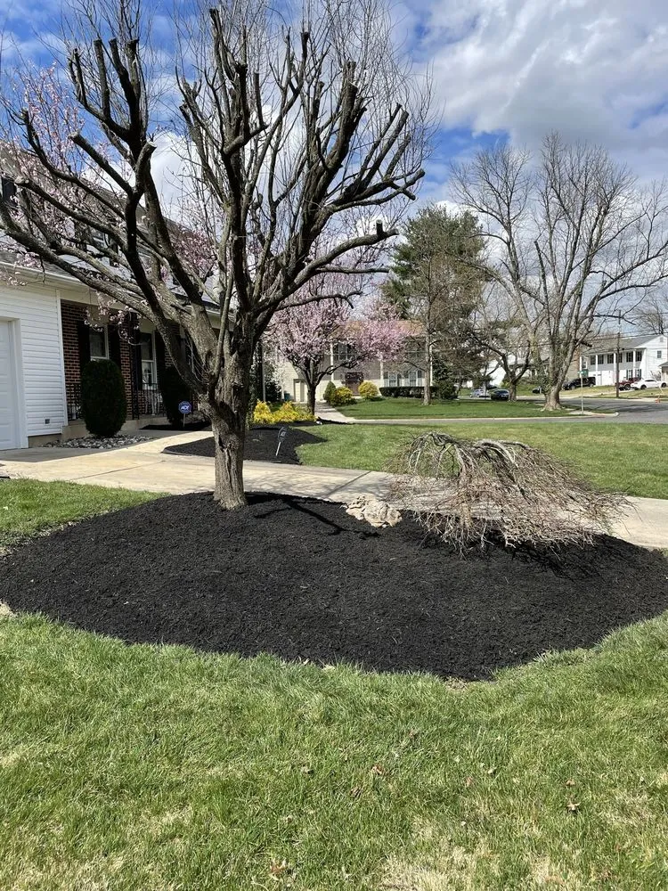 Custom landscape installation experts serving Berlin, NJ - Universal Landscaping Services