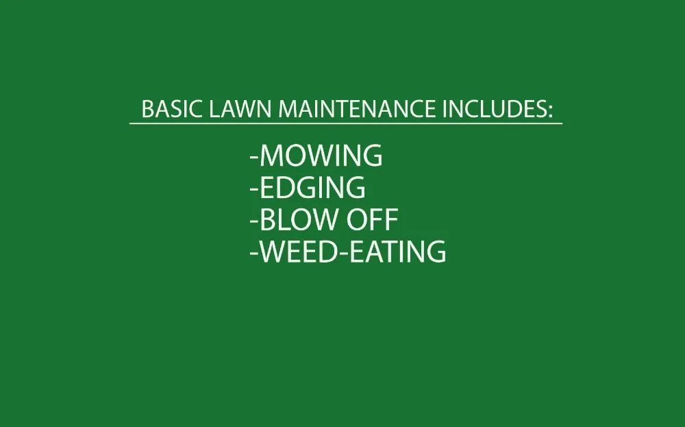 Local yard cleanup service experts serving Taylors, SC - Universal Lawn and Floor