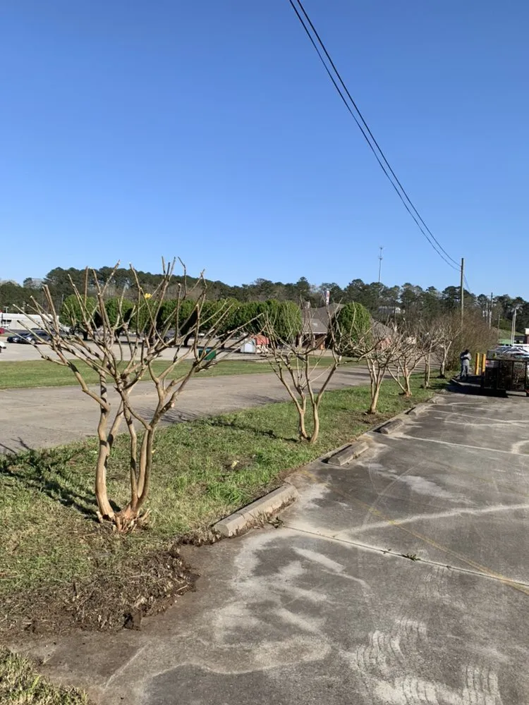 Top-rated landscaping services in Pinson, AL - Universal Lawn Appeal