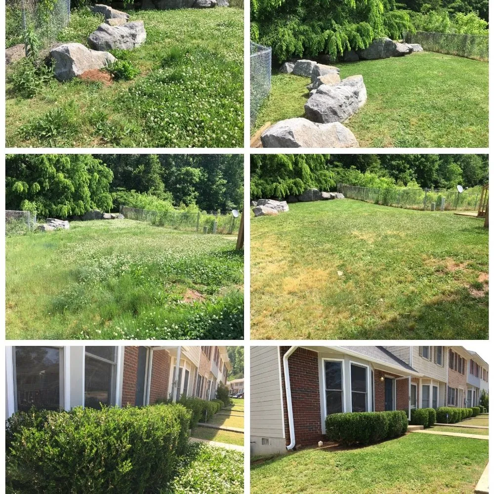 Professional yard maintenance experts serving Pinson, AL - Universal Lawn Appeal