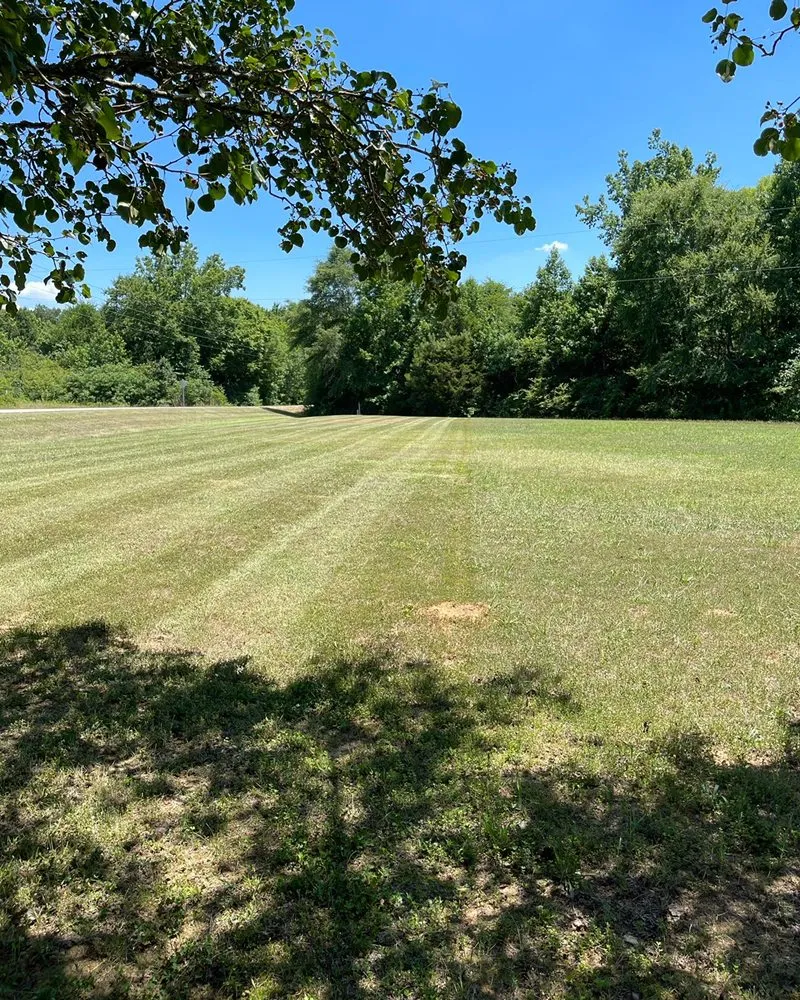 Custom yard cleanup service experts serving Pinson, AL - Universal Lawn Appeal