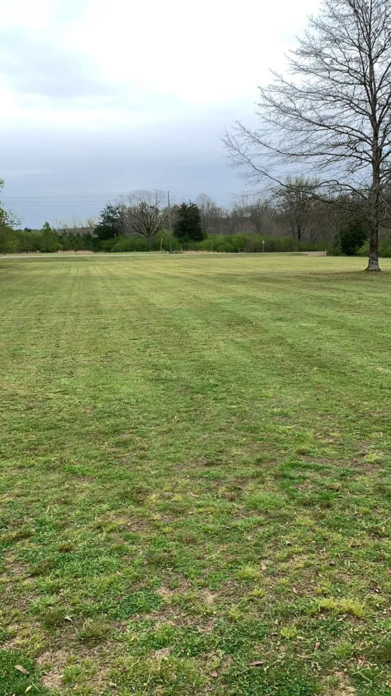 Expert outdoor landscaping in Pinson, AL - Universal Lawn Appeal