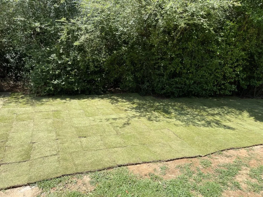 Reliable landscape design for year-round maintenance across Pinson, AL - Universal Lawn Appeal