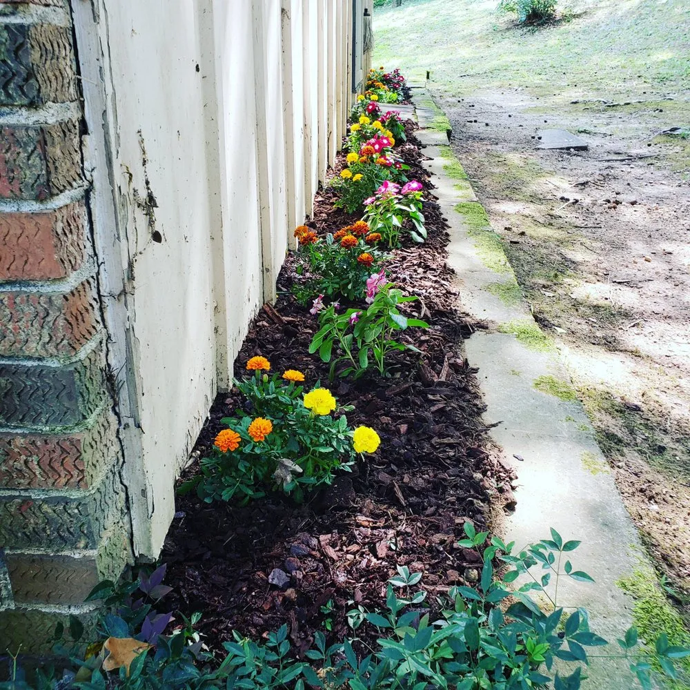 Professional lawn mowing service experts serving Pinson, AL - Universal Lawn Appeal