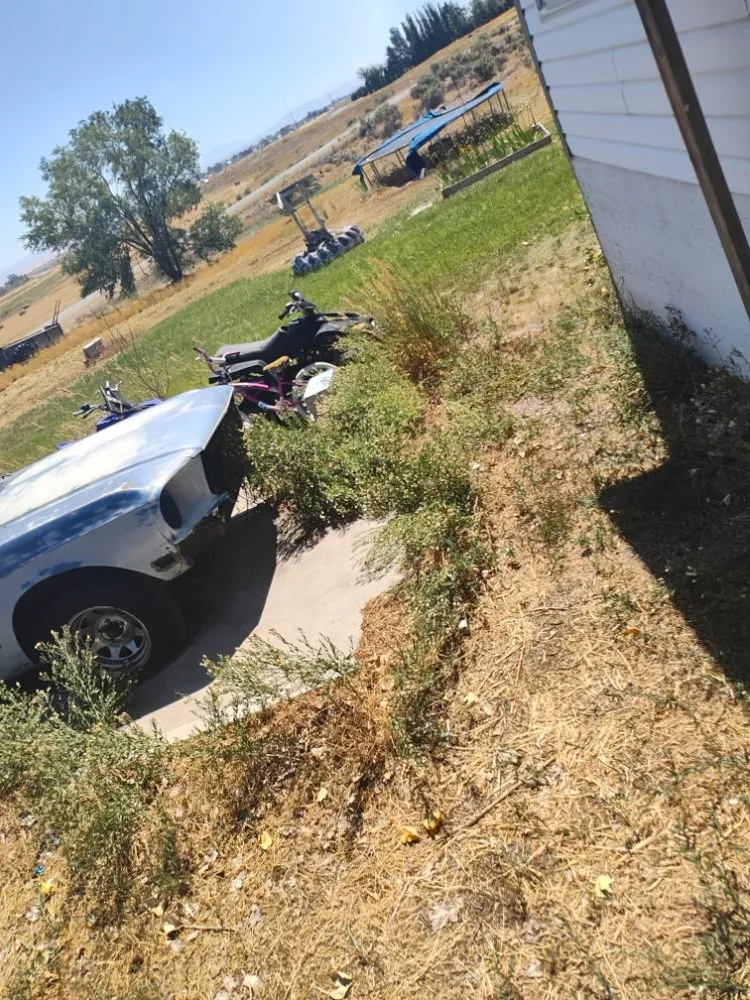 Expert lawn mowing service near you across Pocatello, ID - Universal Lawn Care