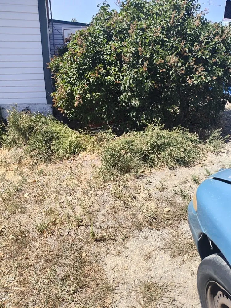 Top-rated landscape design near you across Pocatello, ID - Universal Lawn Care