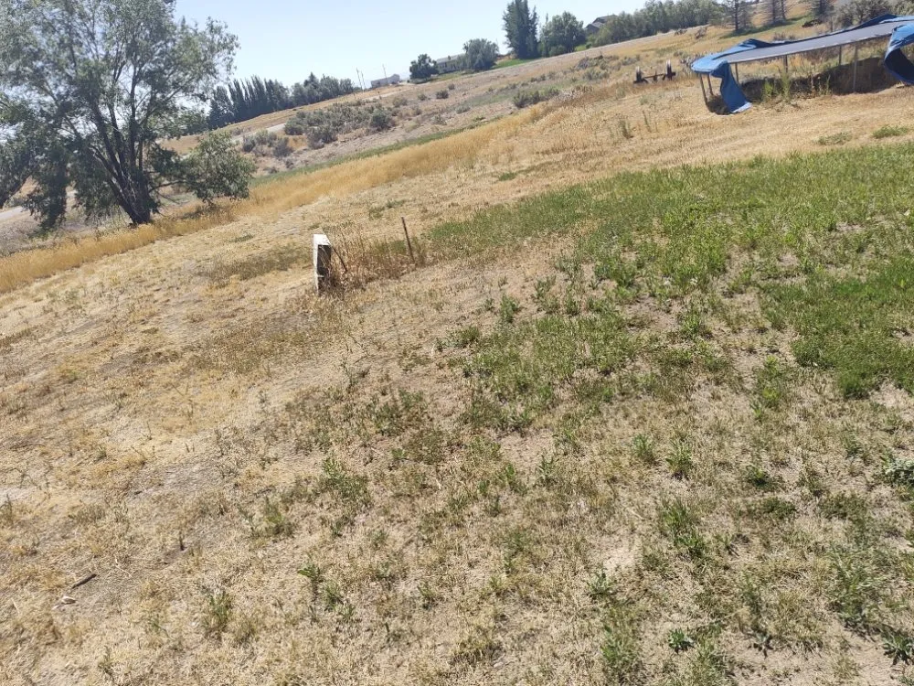 Expert landscaping services in Pocatello, ID - Universal Lawn Care