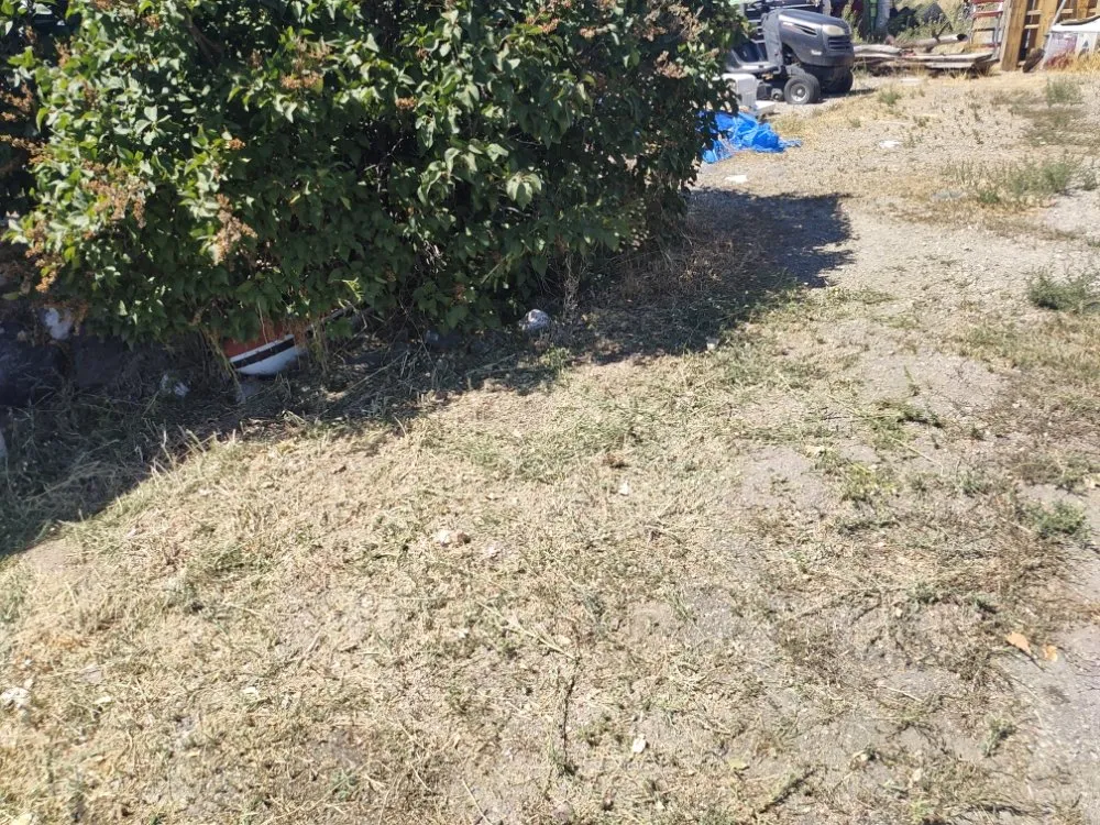 Local lawn care service experts serving Pocatello, ID - Universal Lawn Care