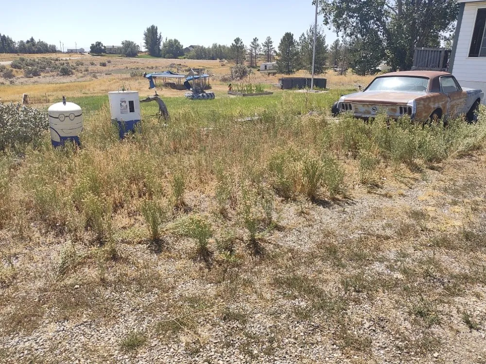 Trusted landscape design in Pocatello, ID by Universal Lawn Care