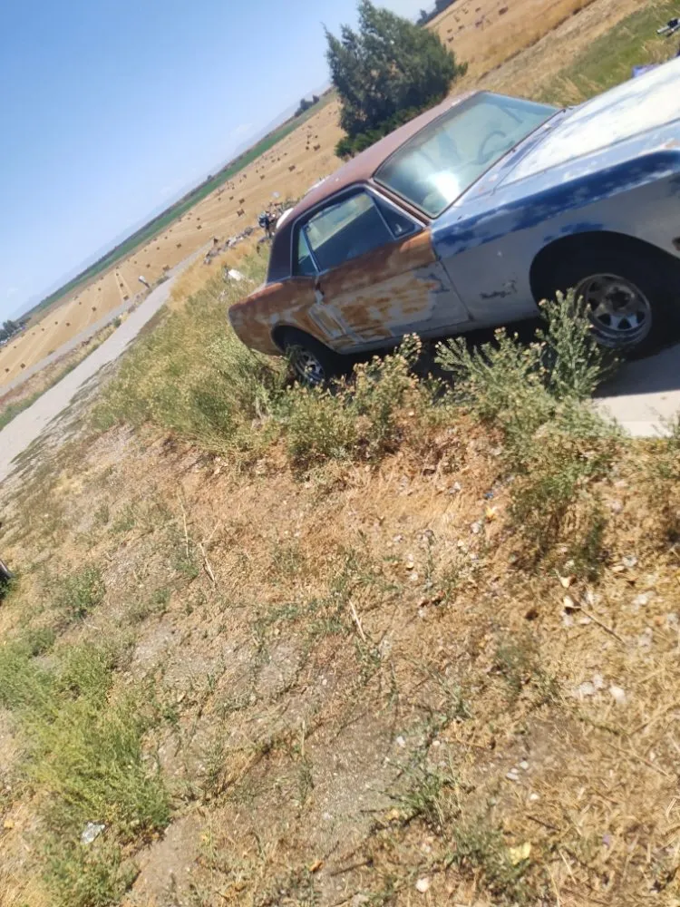 Top-rated landscape design near you in Pocatello, ID by Universal Lawn Care