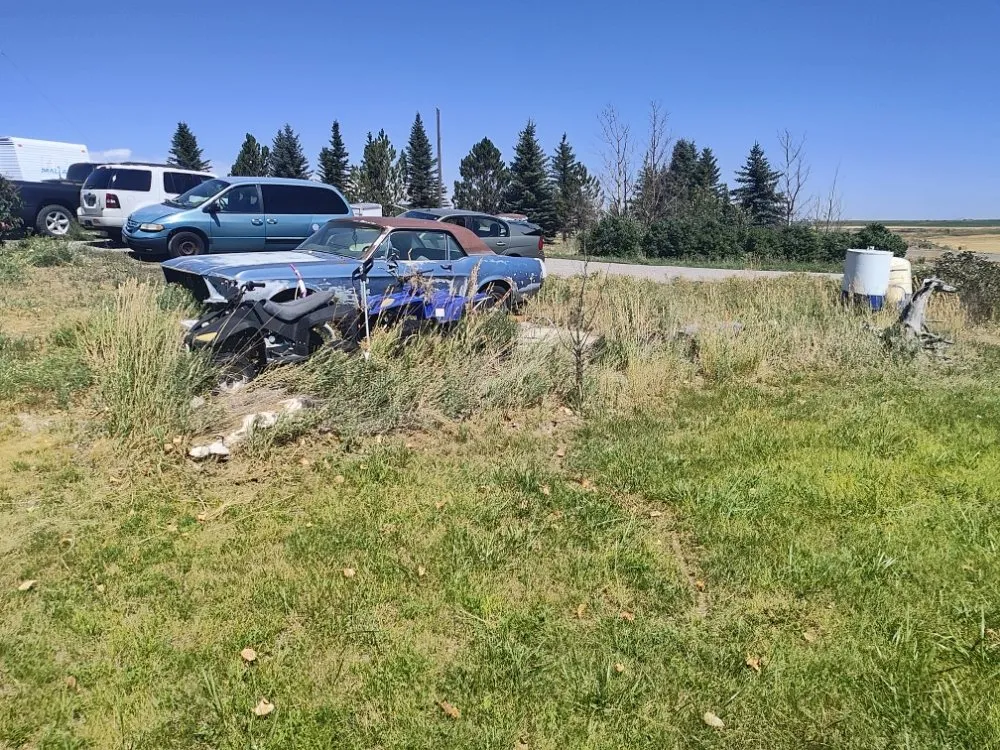 Local landscaping services in Pocatello, ID by Universal Lawn Care