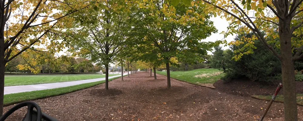 Expert landscape installation for residential properties across Silver Spring, MD - Universal Lawn Care