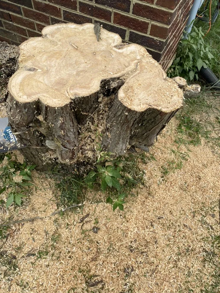 Local landscape design for homes across Silver Spring, MD - Universal Lawn Care