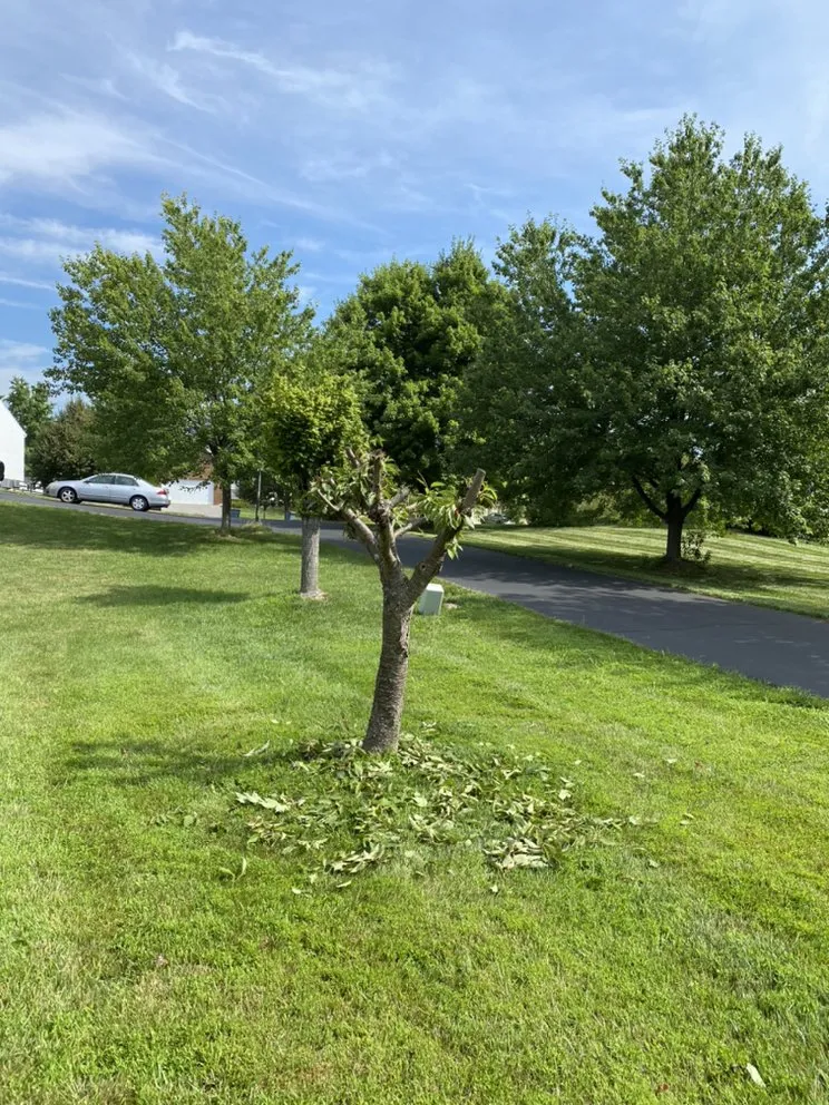 Trusted landscape installation experts serving Silver Spring, MD - Universal Lawn Care