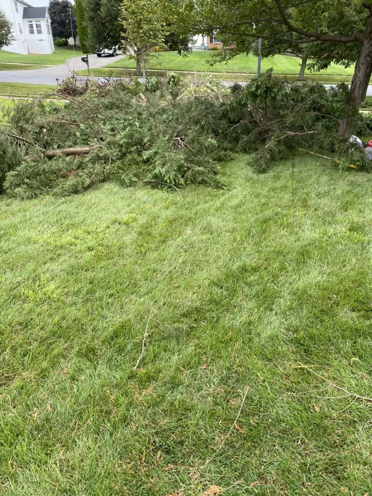 Professional yard maintenance in Silver Spring, MD by Universal Lawn Care
